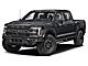 2025 Ford F-150 Raptor Milwaukee WI
