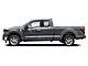 2025 Ford F-150 XLT Milwaukee WI