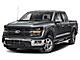 2025 Ford F-150 XLT Milwaukee WI
