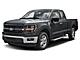 2025 Ford F-150 XLT Milwaukee WI