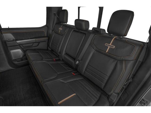 2025 Ford F-250SD Platinum  TX