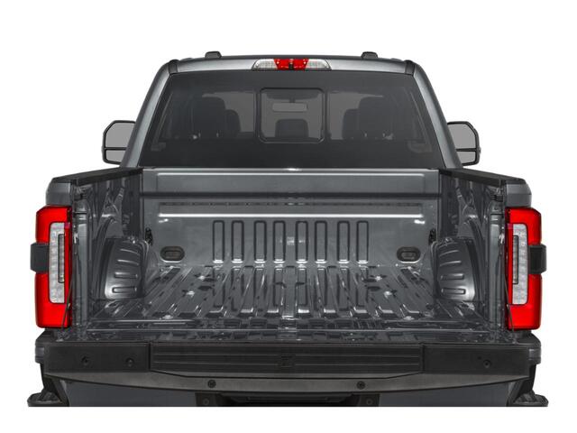 2025 Ford F-250SD Platinum  TX
