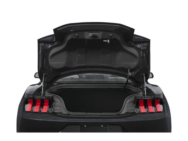 2025 Ford Mustang   TX