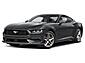 2025 Ford Mustang EcoBoost  TX