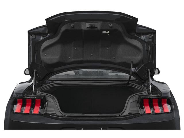 2025 Ford Mustang EcoBoost  TX