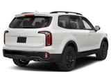 2025 Kia Telluride EX X-Line Oshkosh WI