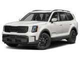 2025 Kia Telluride EX X-Pro Oshkosh WI