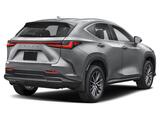 2025 Lexus NX 350h Premium San Diego County CA