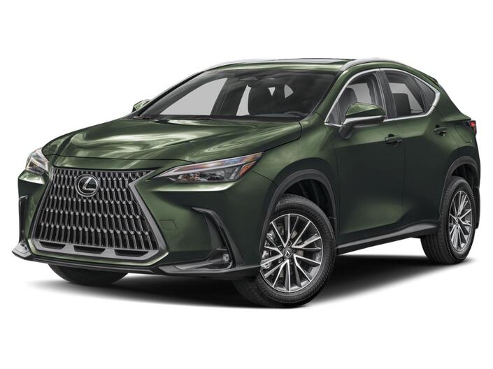 2025 Lexus NX 350h Premium San Diego County CA