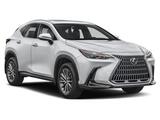 2025 Lexus NX 350h Premium San Diego County CA