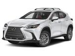 2025 Lexus NX Premium