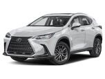 2025 Lexus NX Premium