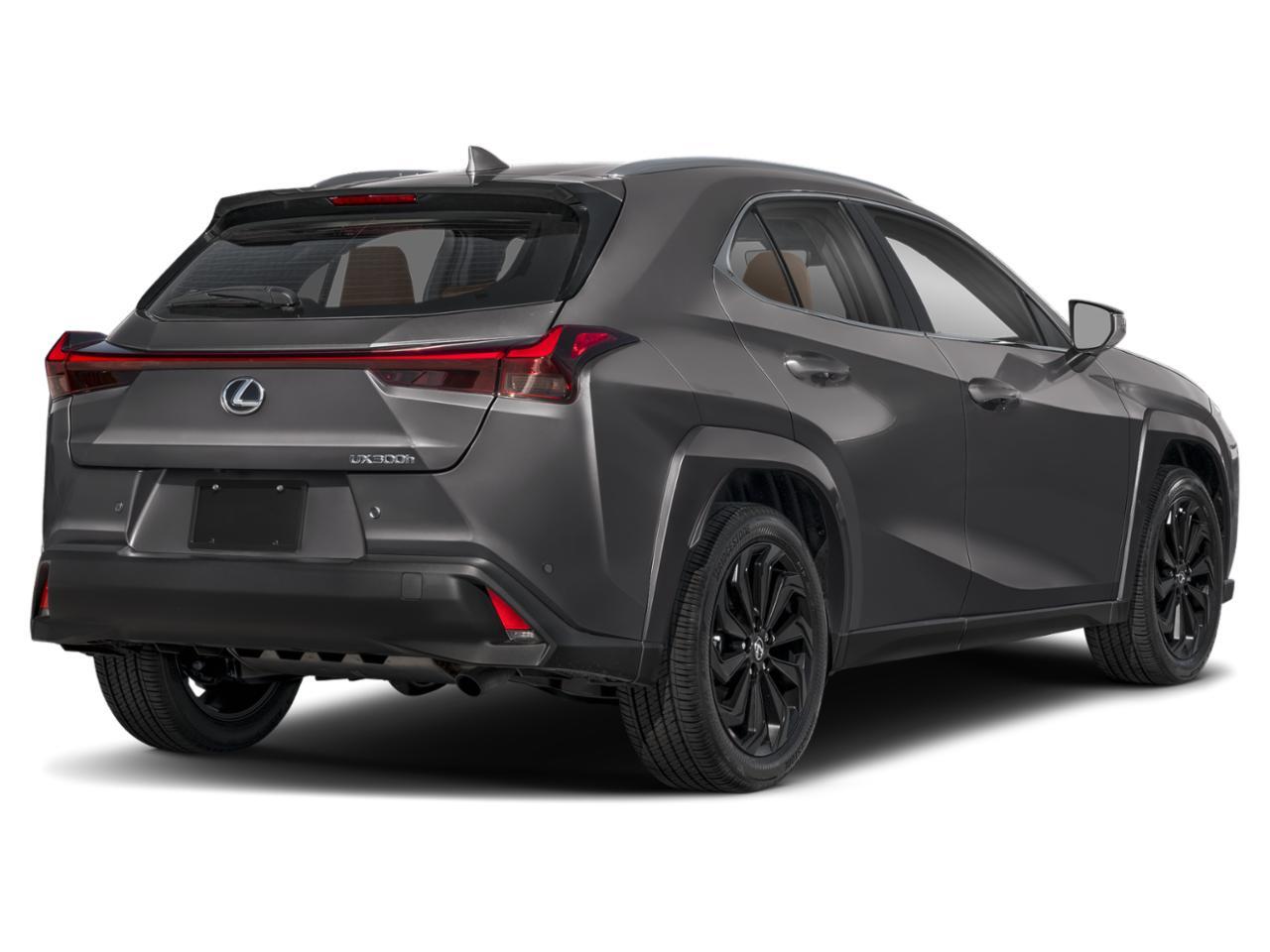 2025 Lexus UX 300h Premium