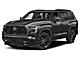 2025 Toyota Sequoia  Fond du Lac WI