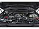 2026 Ford F-350SD Platinum Milwaukee WI