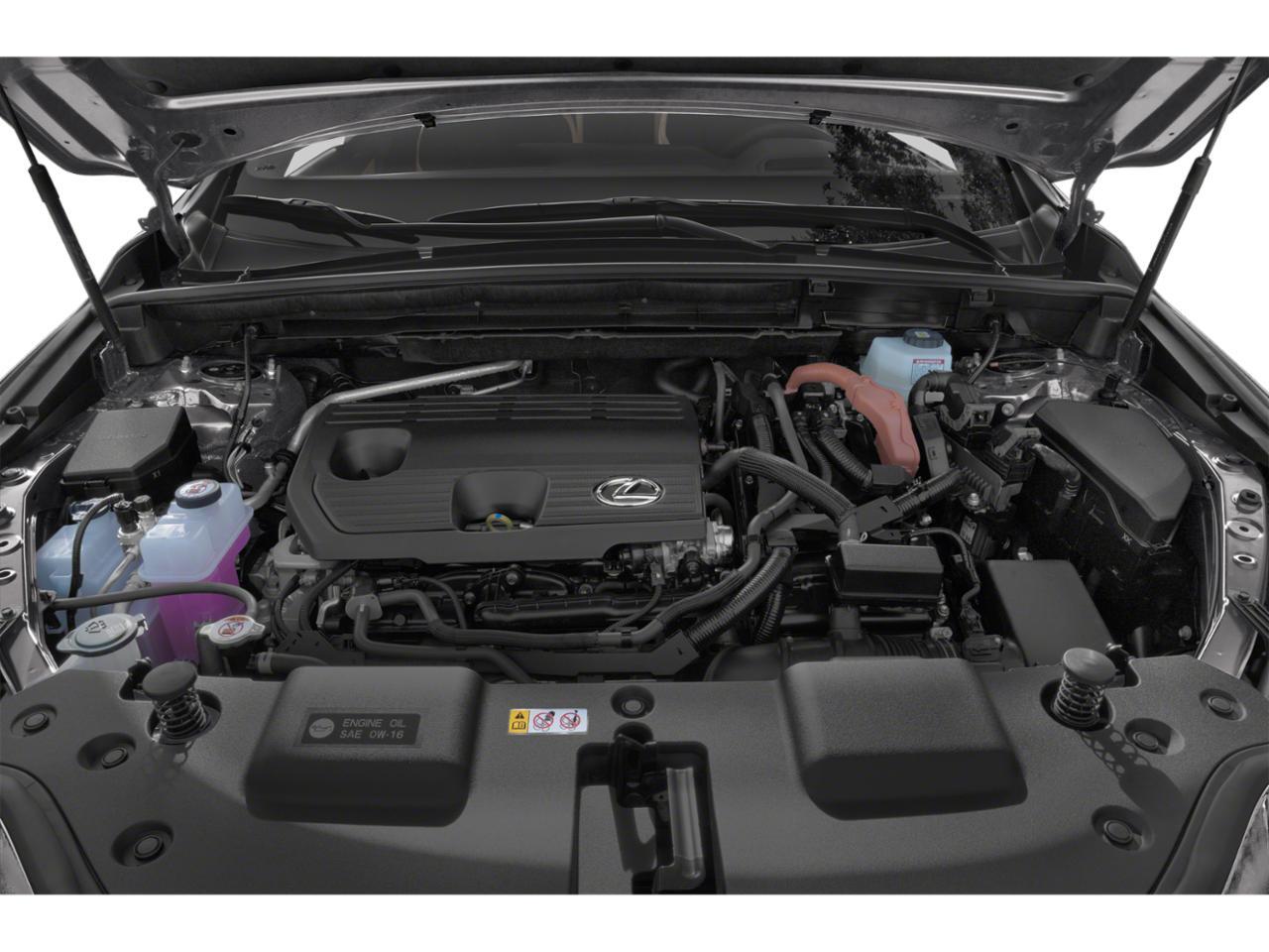 2026 Lexus NX Luxury Tucson AZ