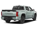 2026 Toyota Tundra Platinum Oshkosh WI