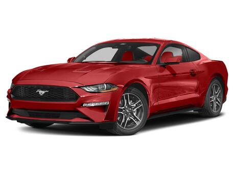 New Ford Mustang in 