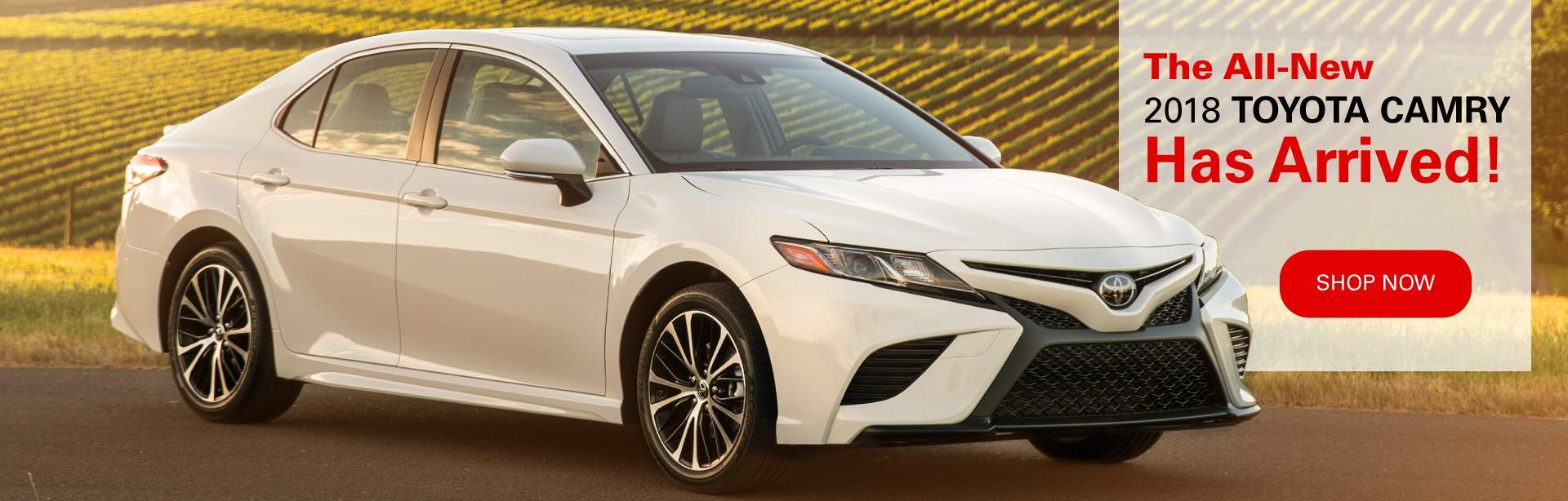 Sheehy Toyota of Fredericksburg Serving Spotsylvania