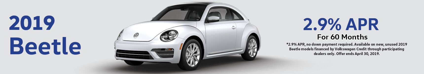 Beetle Beetle
