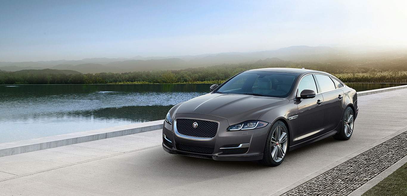 Jaguar Jaguar