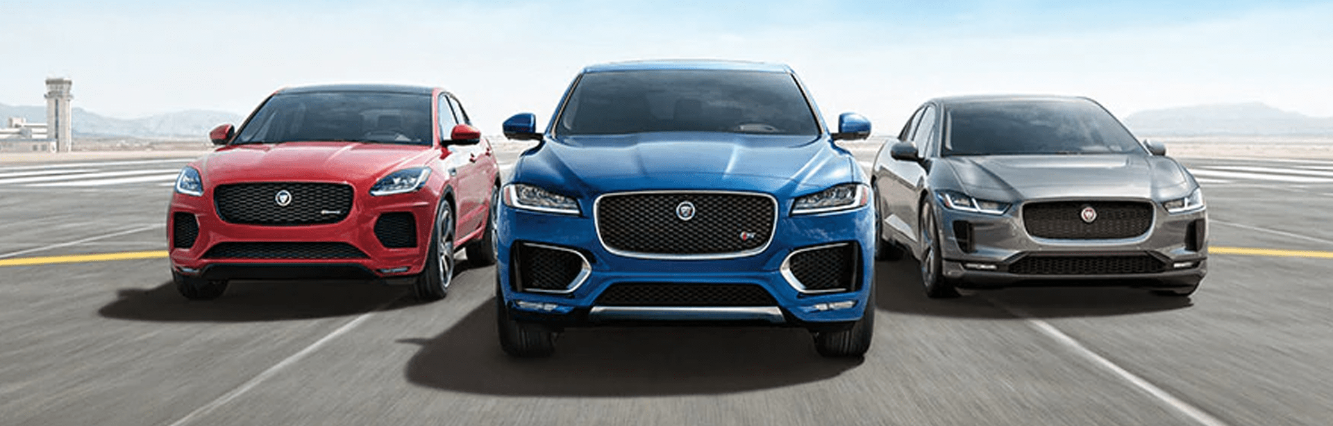 Jaguar Jaguar