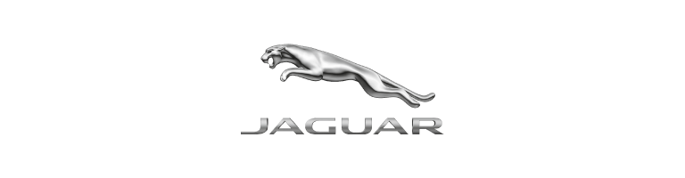 Jaguar Logo