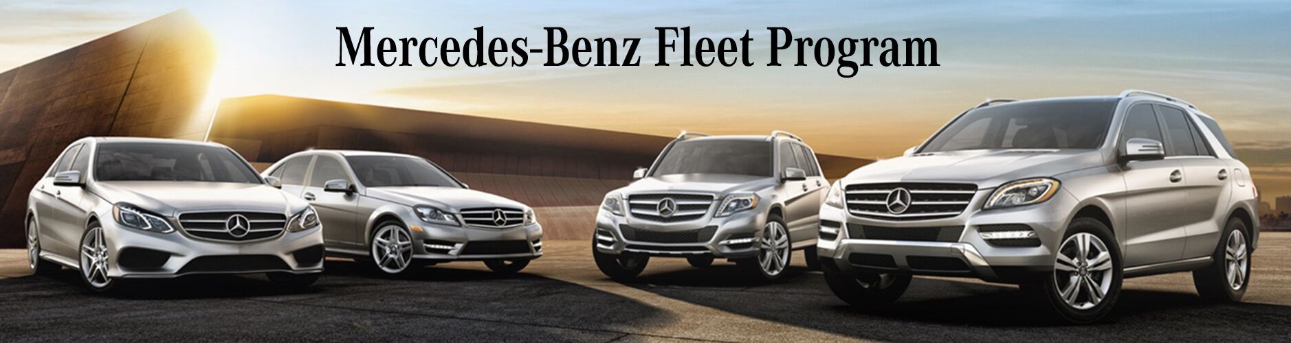 Fleet Incentives Sample Fleet Incentives Sample