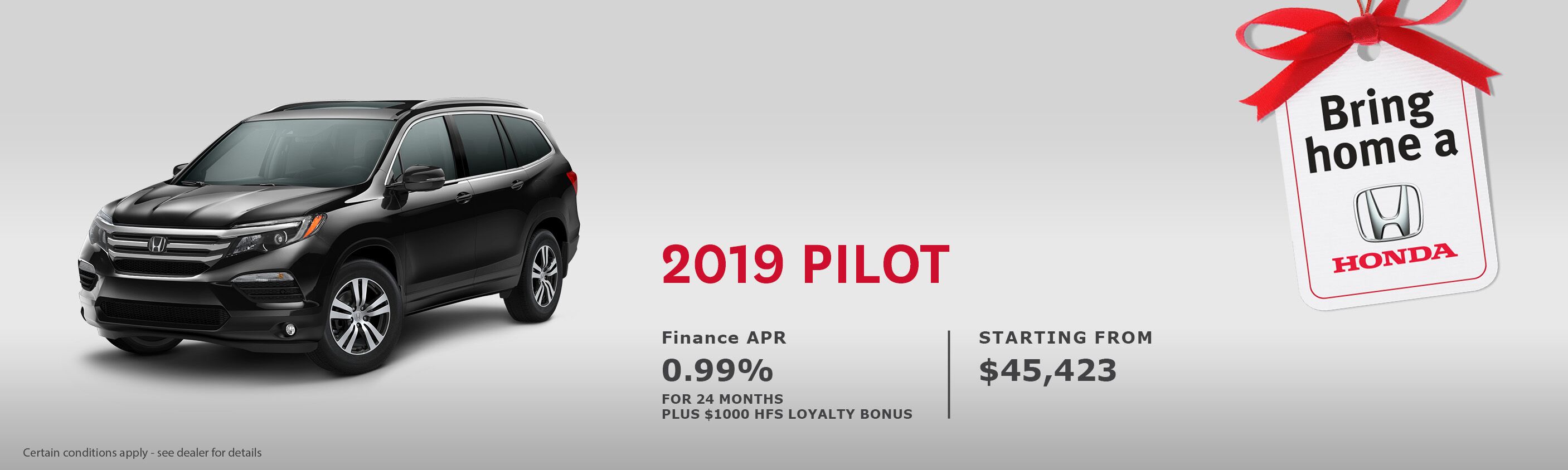 2019 Pilot 2019 Pilot