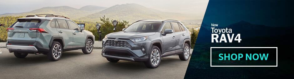 2019 Toyota RAV4 LE 2019 Toyota RAV4 LE