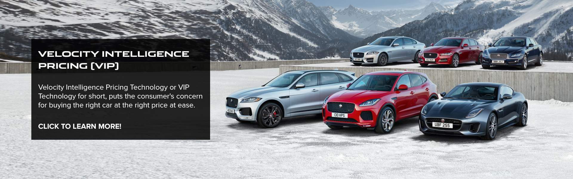 Jaguar Dealership San Jose Ca Used Cars Jaguar Stevens Creek