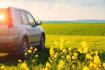 car in a field of flowers