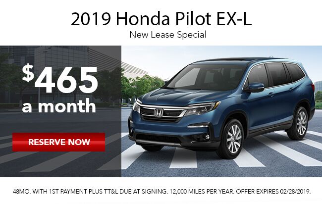2019 Pilot 2019 Pilot