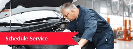 man working under hood of car, schedule service link