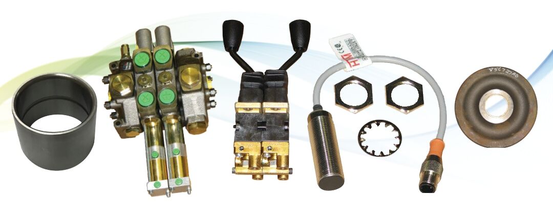 Find Your Match in Tampa FL