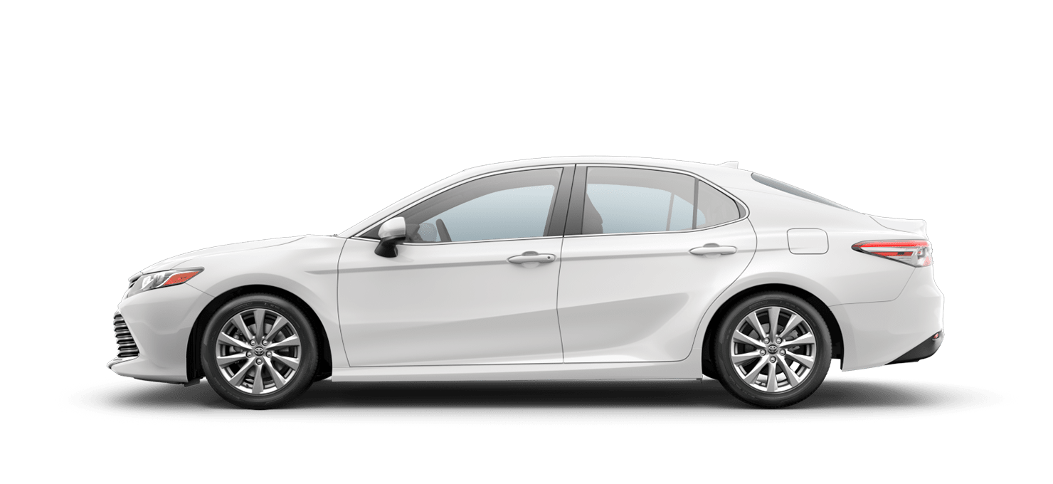 2019 Camry LE 2019 Camry LE