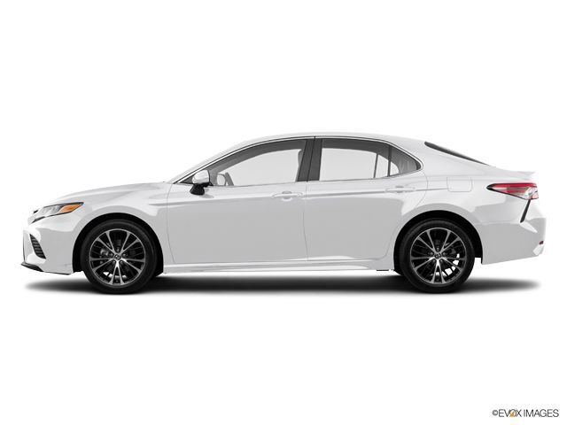 2019 Camry LE 2019 Camry LE