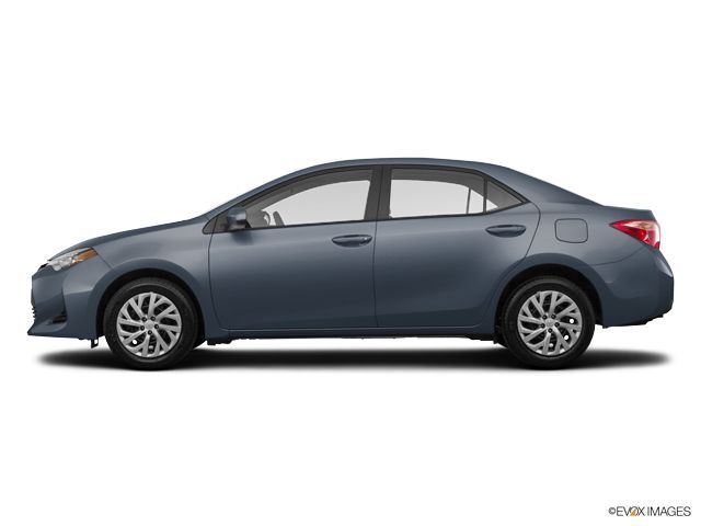 2019 Corolla LE 2019 Corolla LE