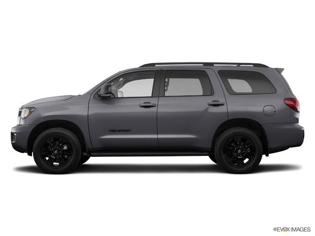 2019 Sequoia SR5 2019 Sequoia SR5