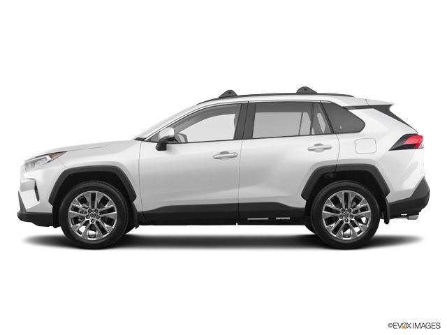 2019 RAV4 LE 2019 RAV4 LE