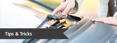 winshield wiper of a car