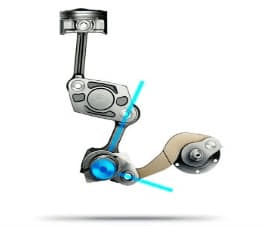 Flexes For More Muscle