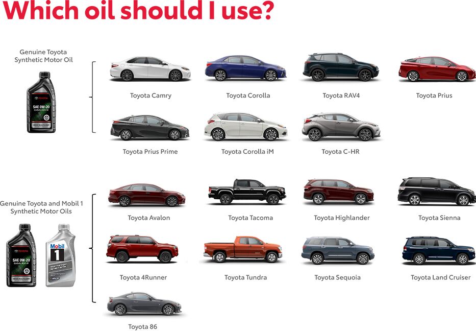 Which Oil Should You Use