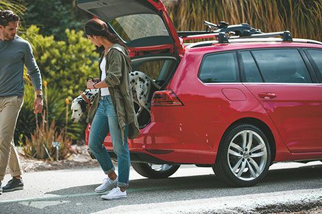 two people getting out of Volkswagen Golf with their dog