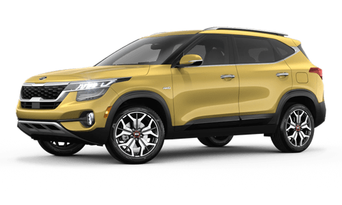 2021 Seltos LX 2021 Seltos LX