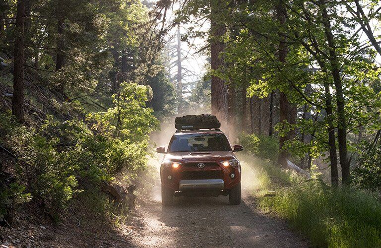 2017 Toyota 4Runner in the Woods