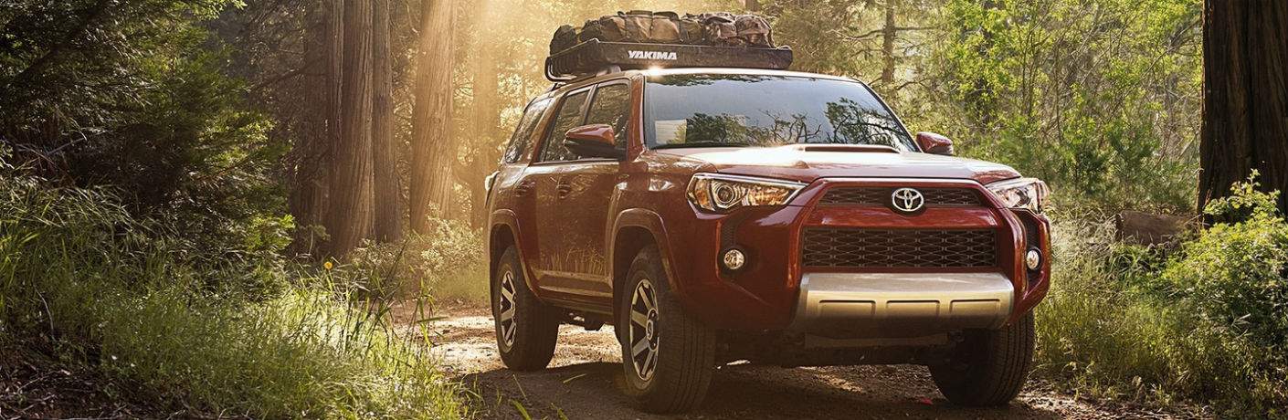 2018 Toyota 4Runner in the forest