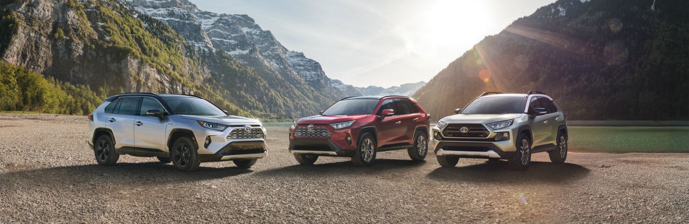 Three 2019 Toyota RAV4 models in front of mountainous terrain