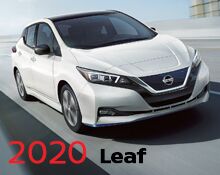 2019 Leaf