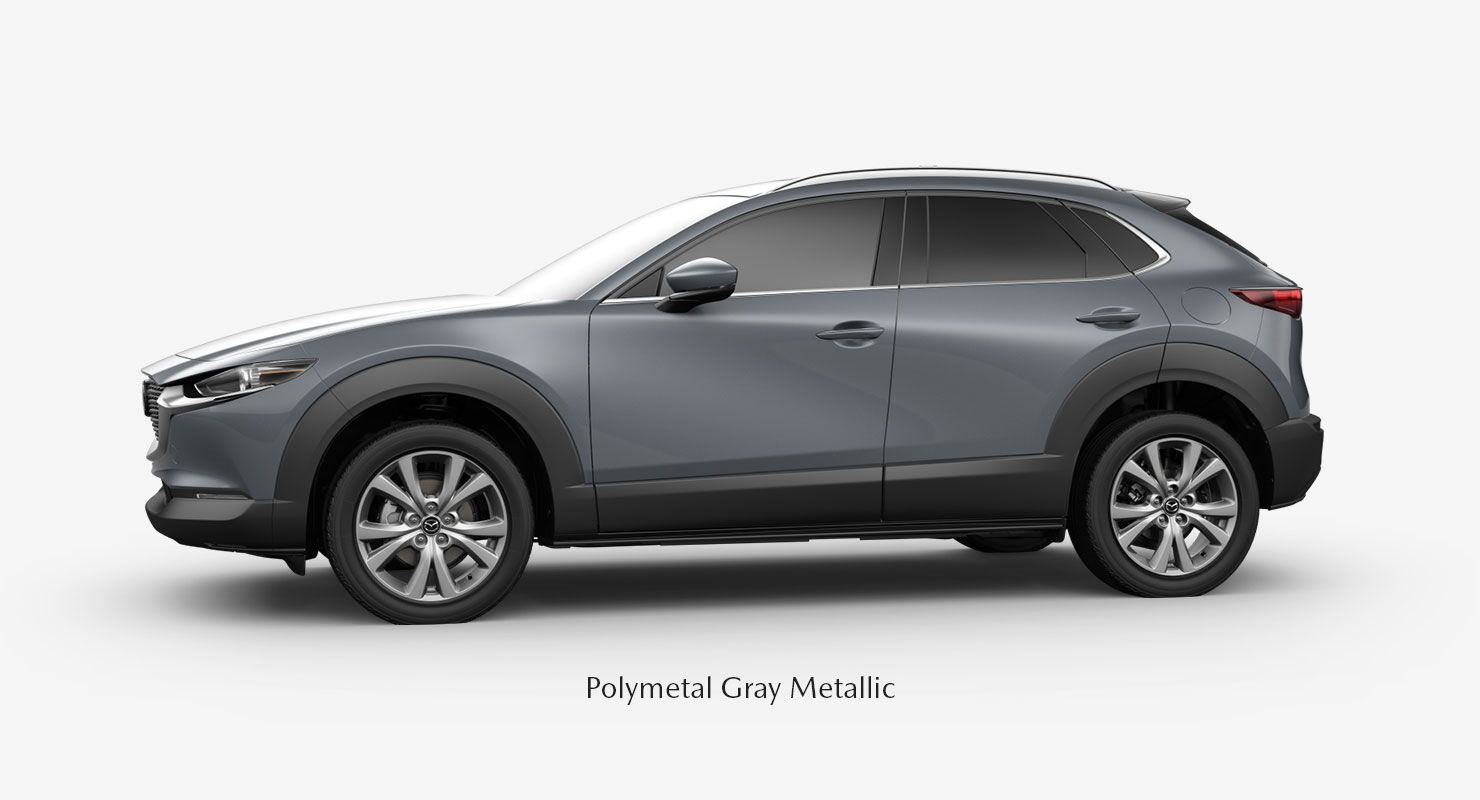 Polymetal Gray Metallic